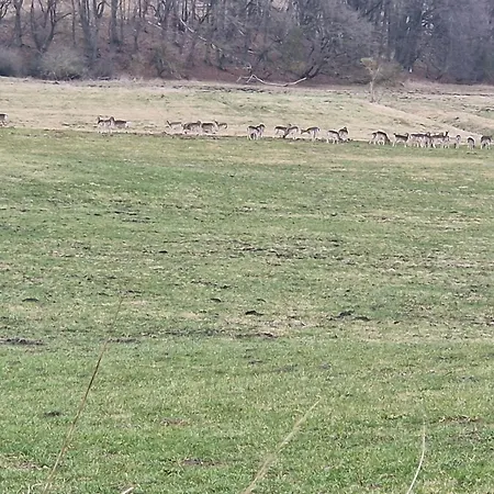 Gemuetliches In Mecklenburg-vorpommern Zwischen Ostsee Und Mueritz Siedenbollentin