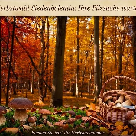 Holiday home Gemuetliches In Mecklenburg-vorpommern Zwischen Ostsee Und Mueritz *